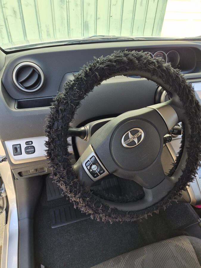 Steering Wheel Before